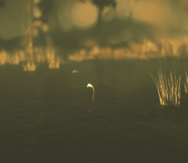 An Angler's lure visible above the water surface, used to camouflage the creature in swampy terrain.