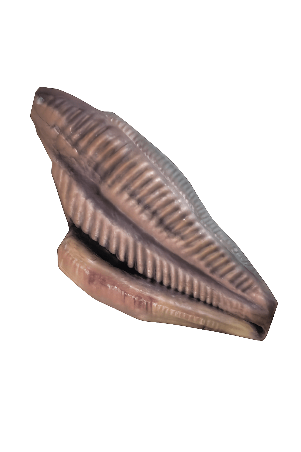 Angler Meat