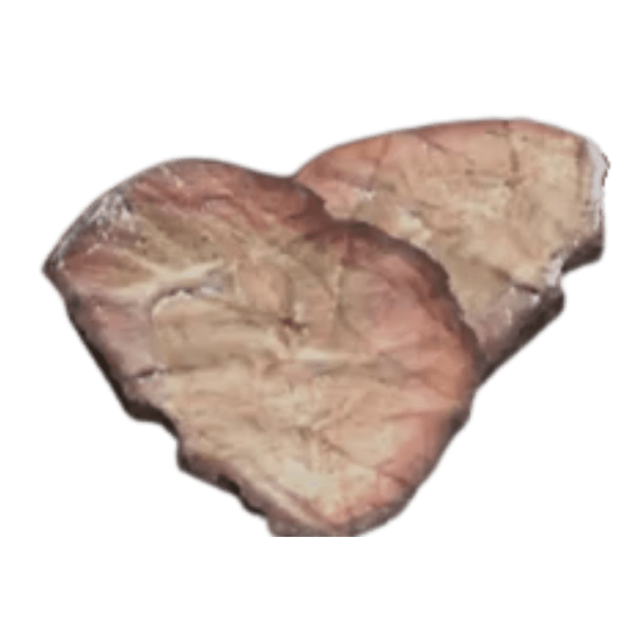Broiled Scorchbeast Brain