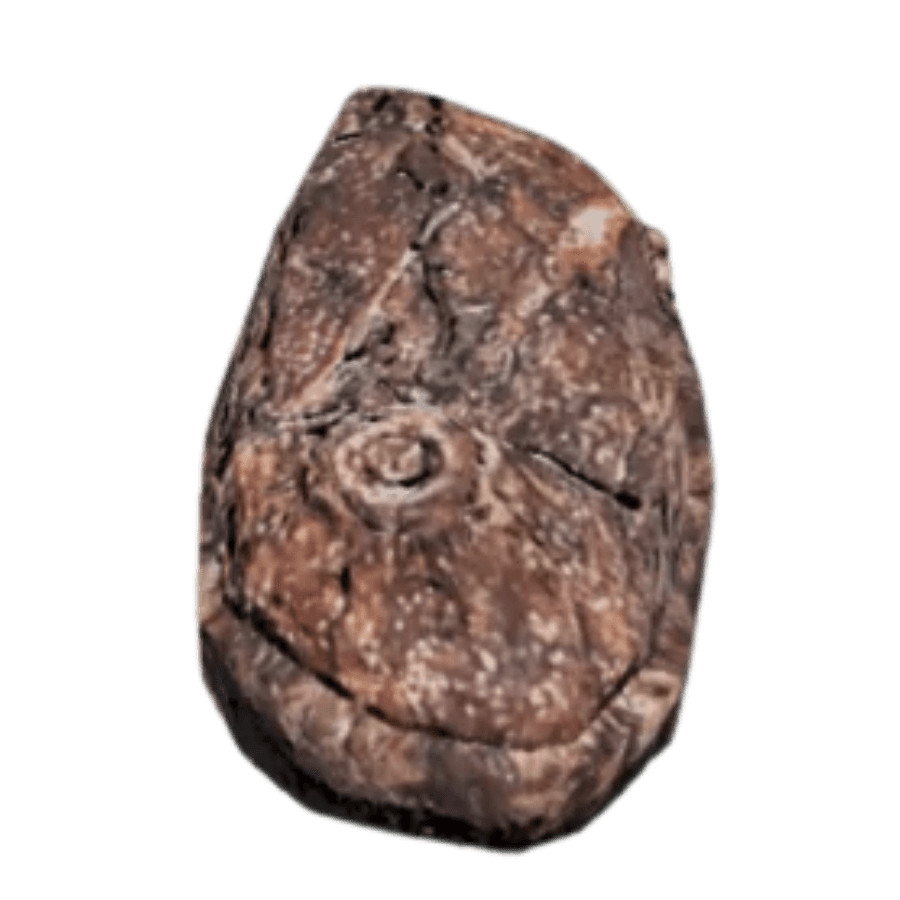 Charred Scorchbeast Liver