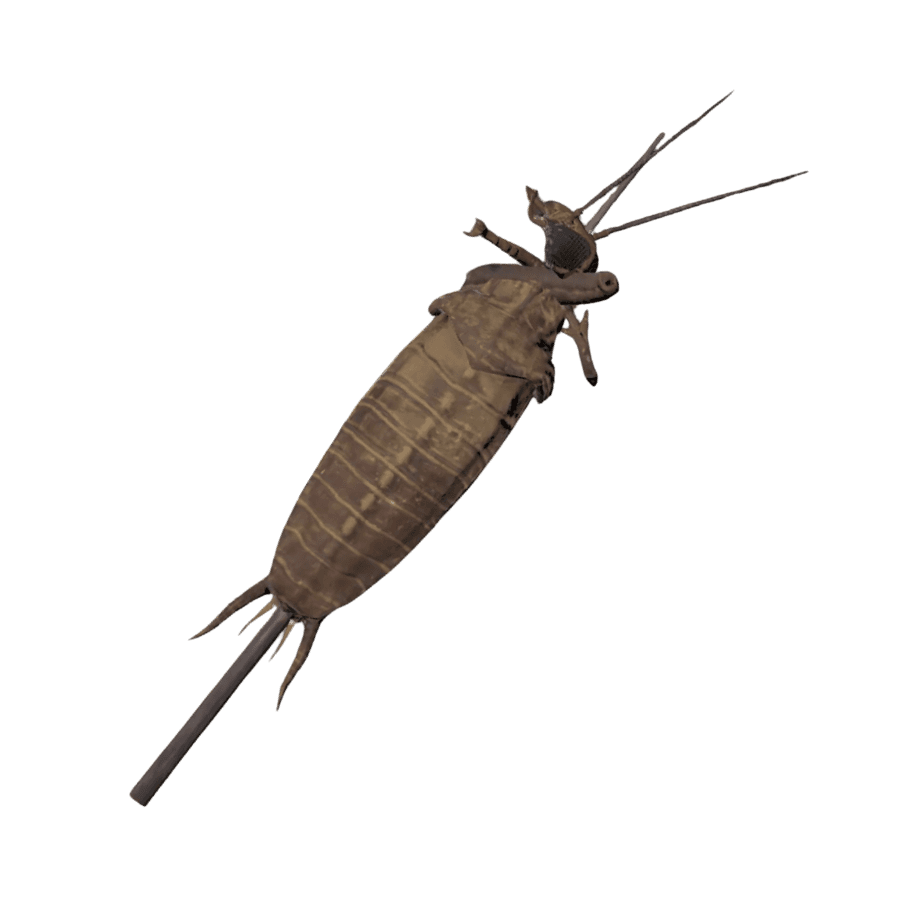 Fried Radroach On A Stick