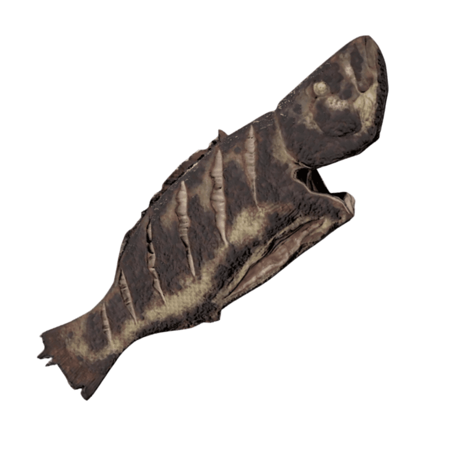 Grilled Fish