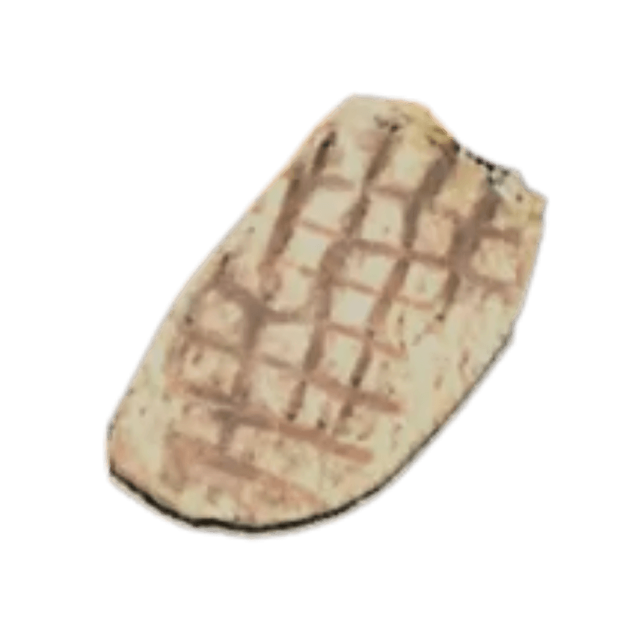 Grilled Radroach