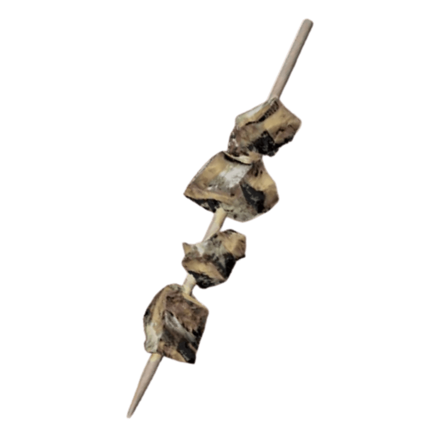 Iguana on a Stick
