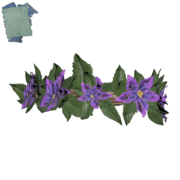 Plan: Flower Crown - Starlace
