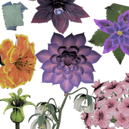 Plan: Susan's Floral Secrets