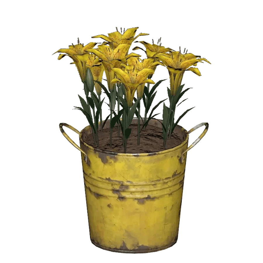 Pot o' Radlily