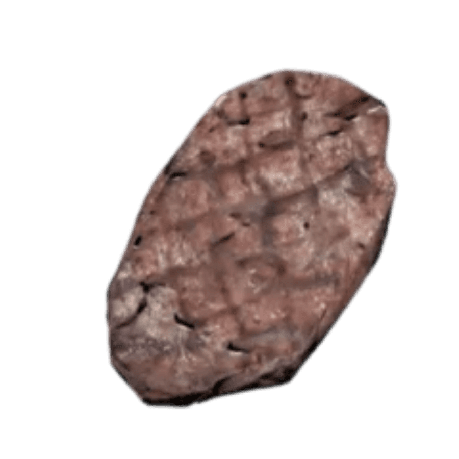 Radrat Steak