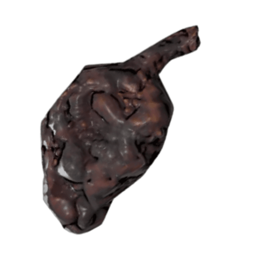 Roasted Scorchbeast Heart