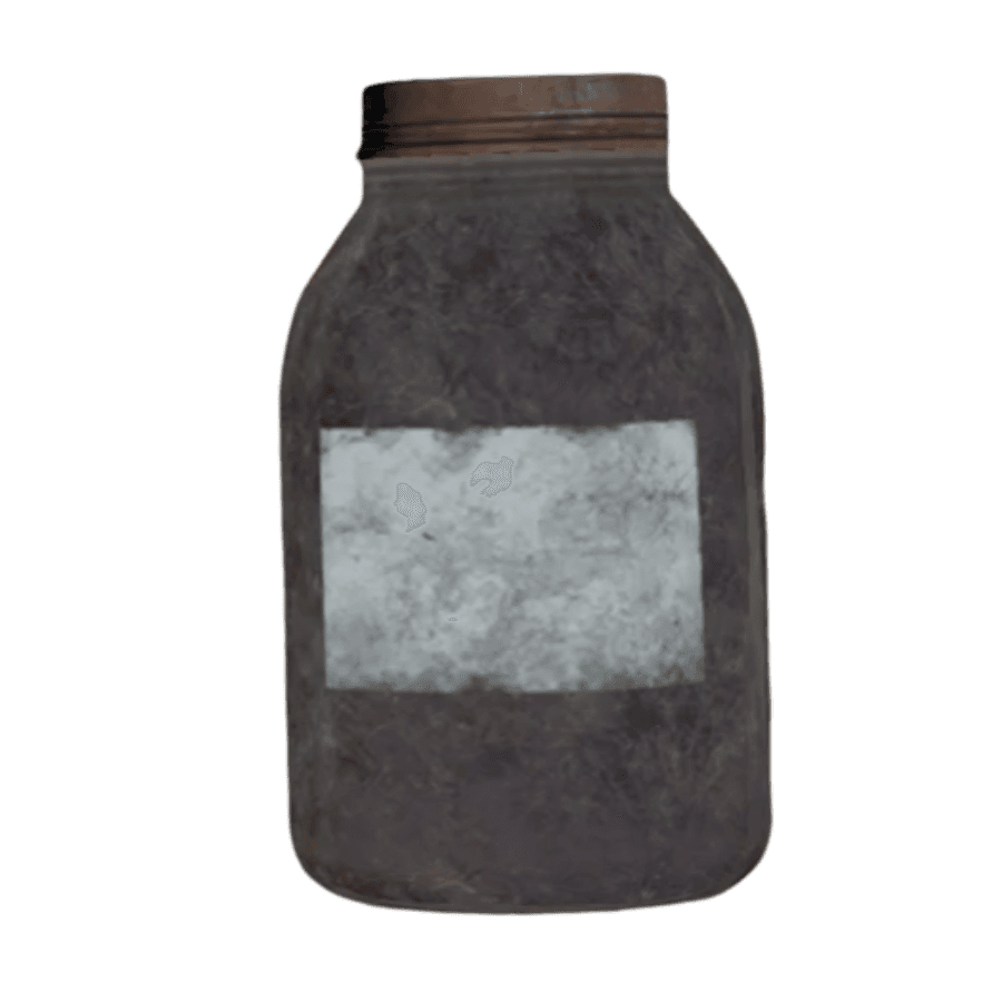 Simple Bloodleaf Tea