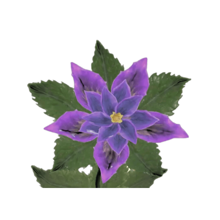 Starlace