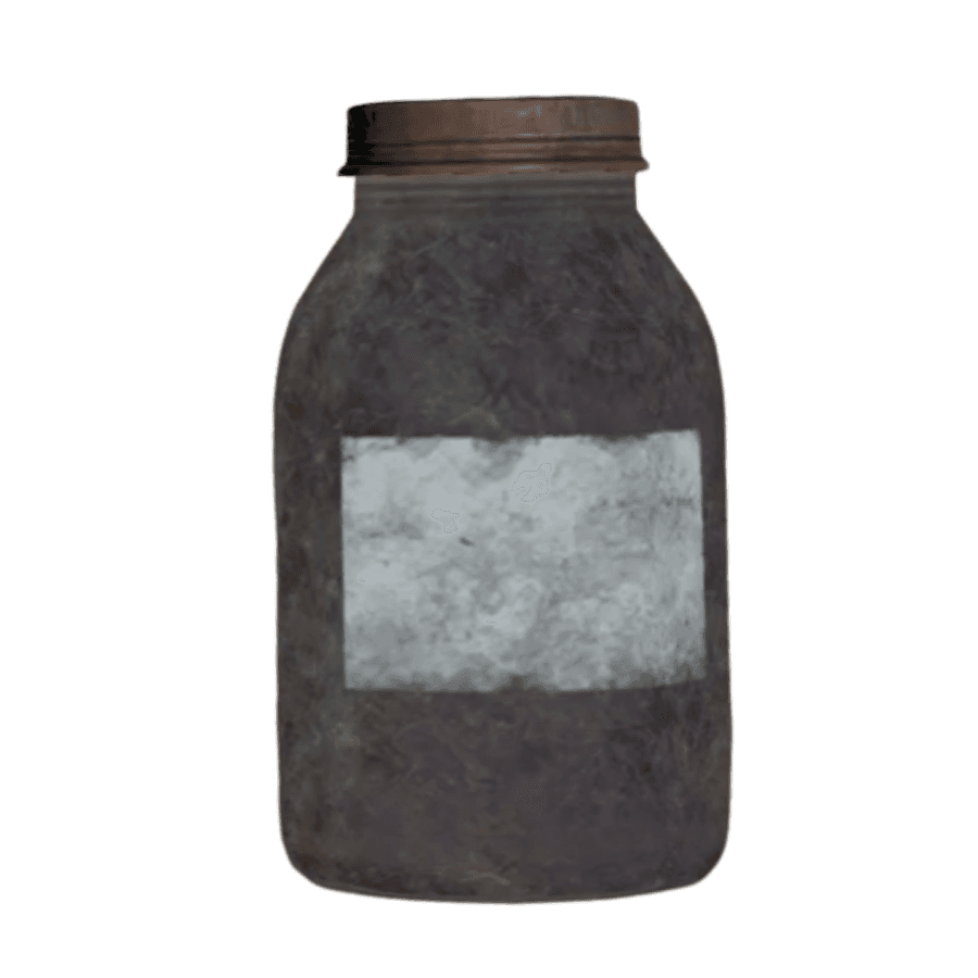 Steeped Melon Blossom Chai