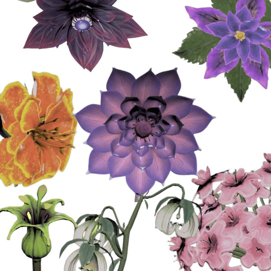 Susan's Floral Secrets