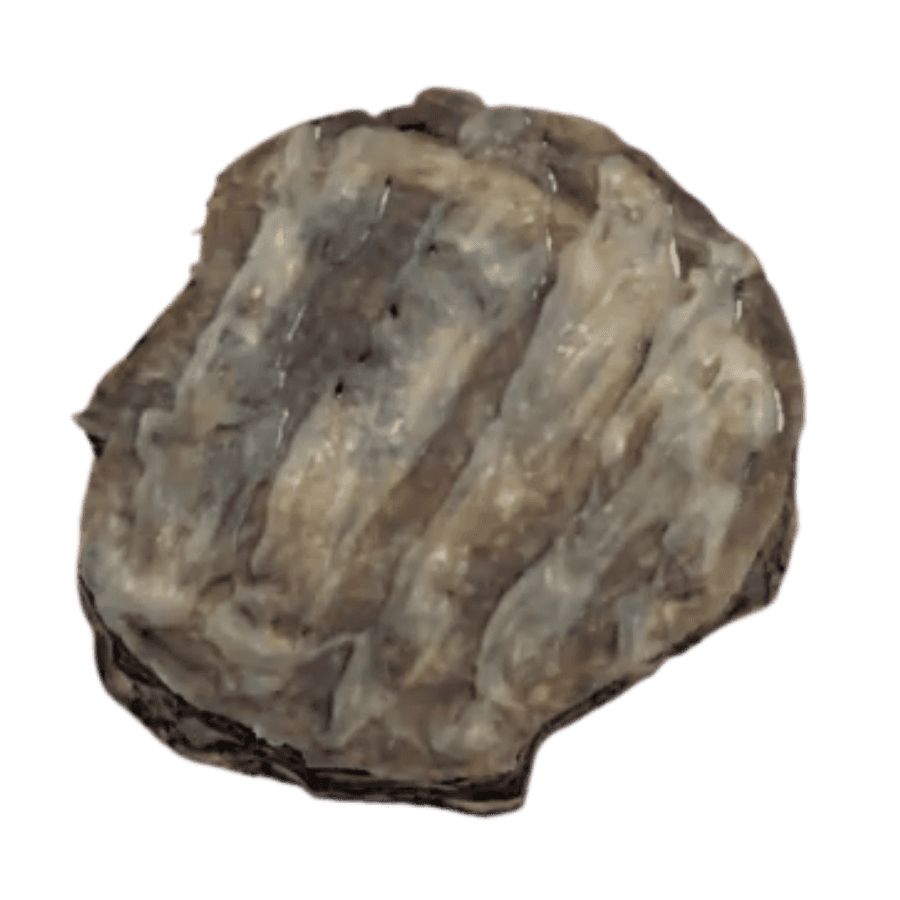 Sweet Roll