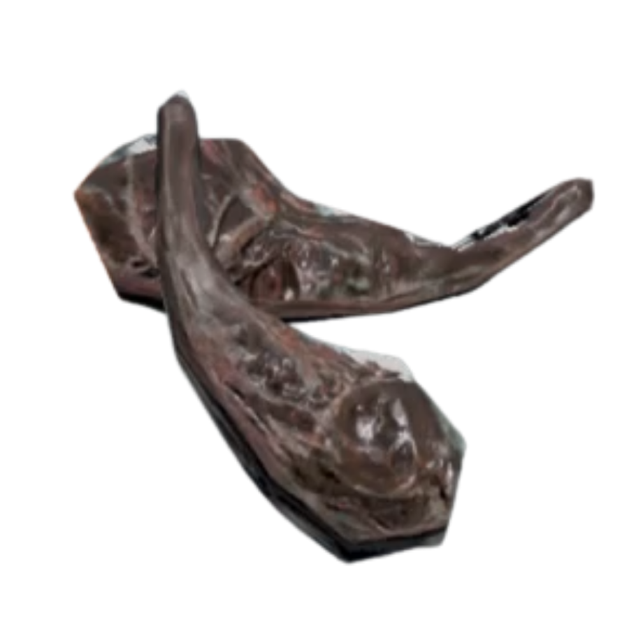 Awesome Opossum Bacon