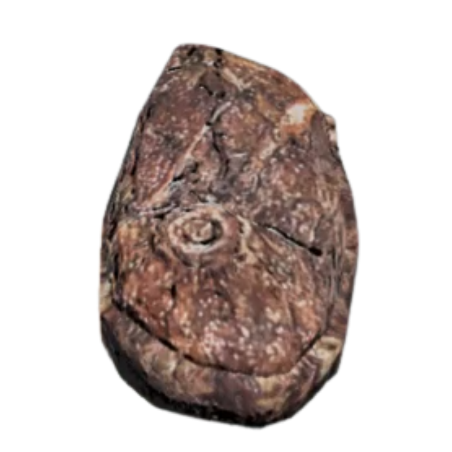 Charred Scorchbeast Liver