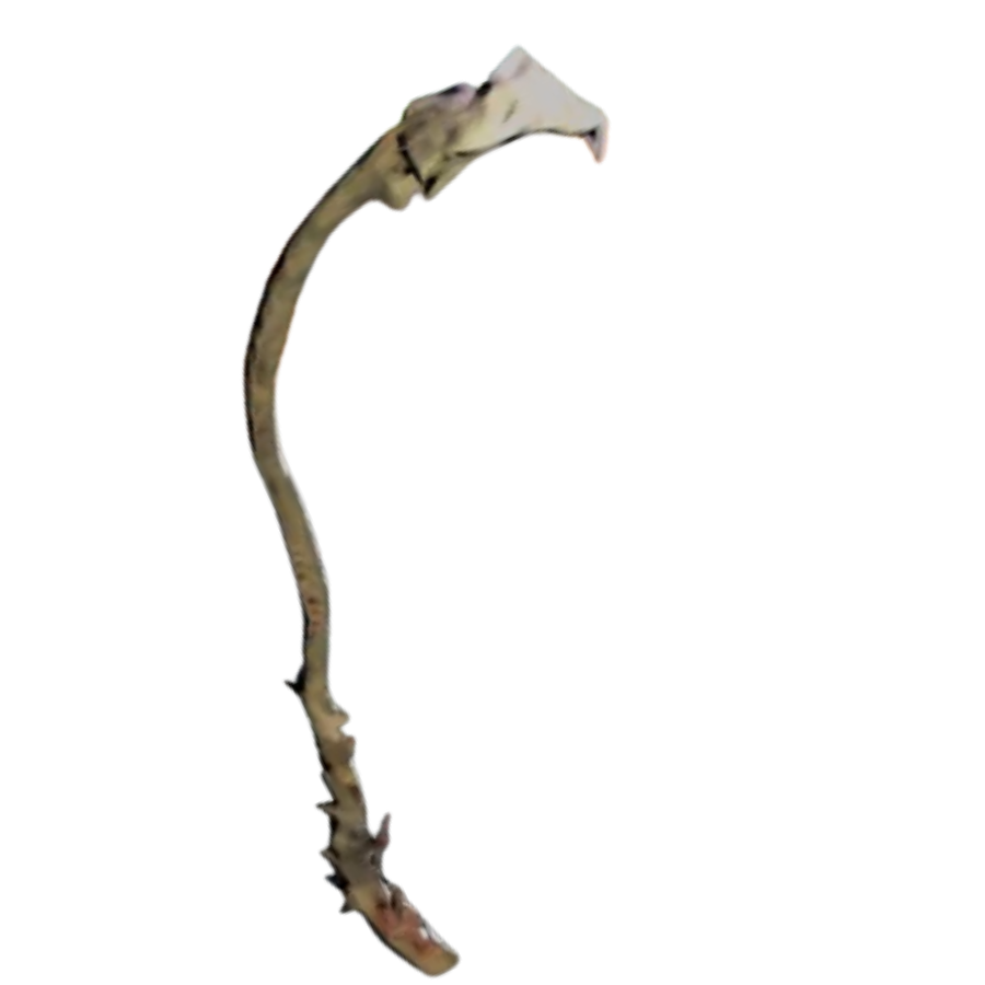 Chew Stick