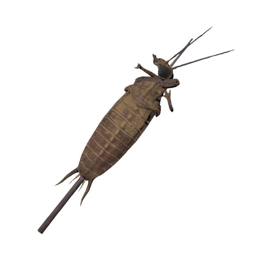 Fried Radroach On A Stick