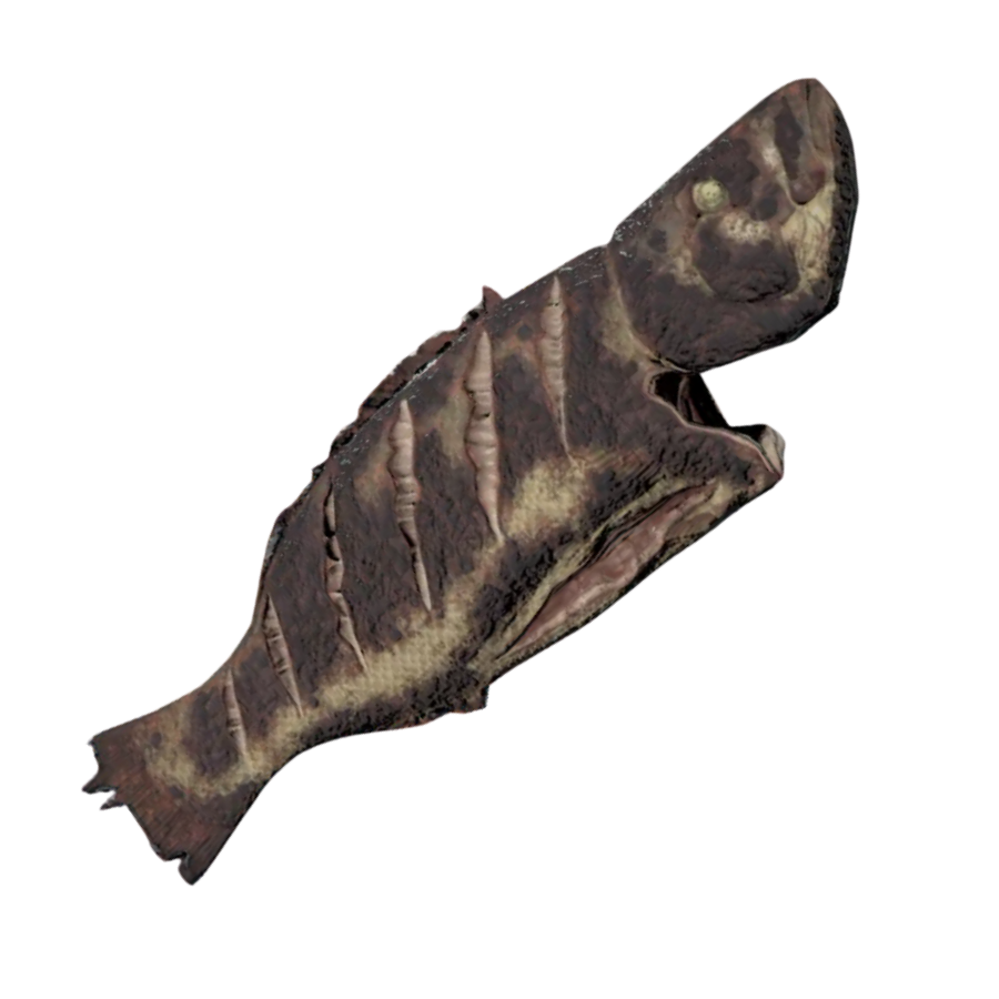 Grilled Fish