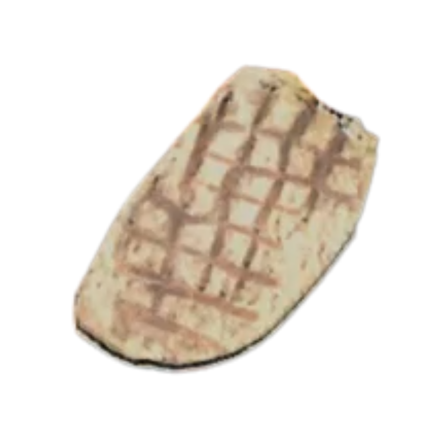 Grilled Radroach