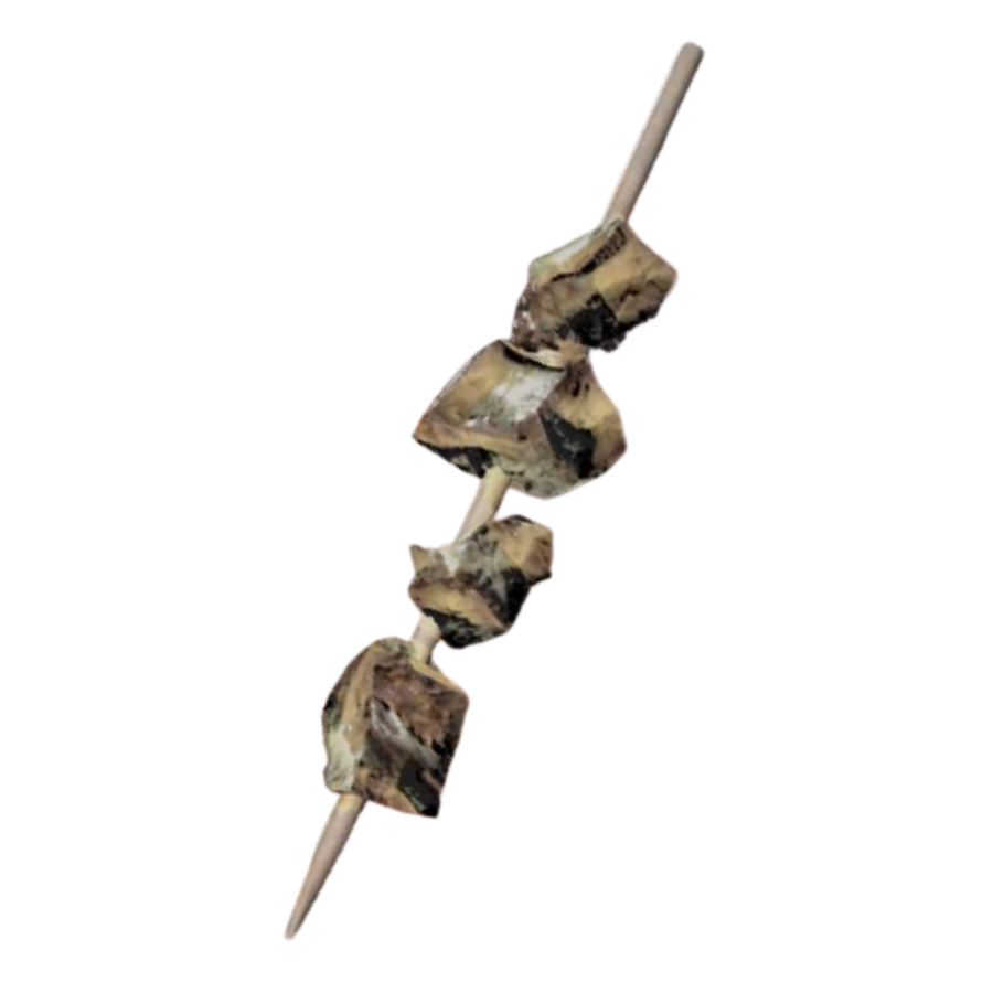 Iguana on a Stick