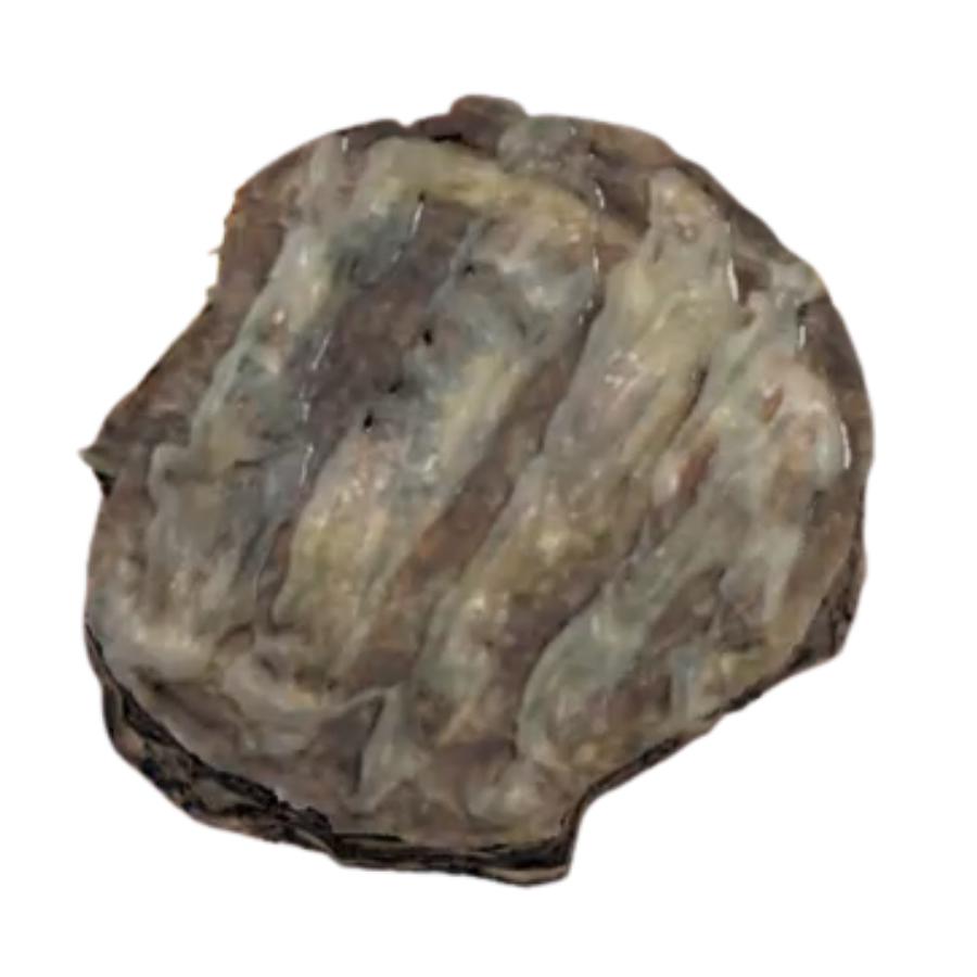 Sweet Roll